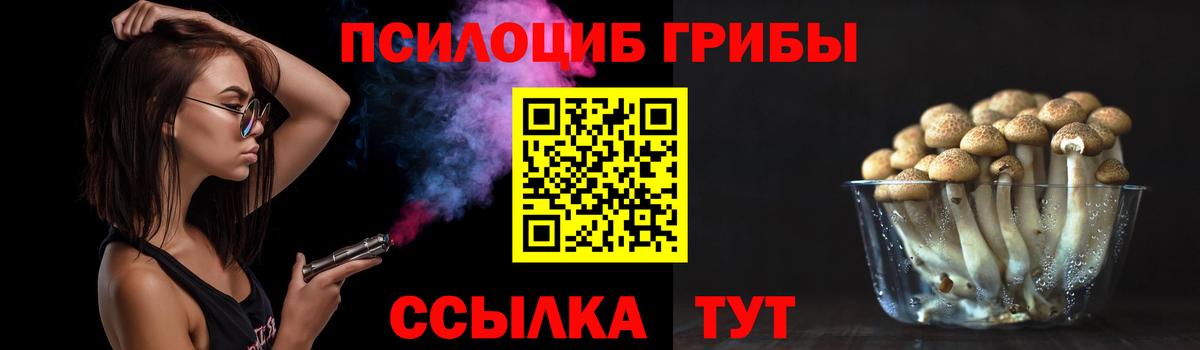Псилоцибиновые грибы Psilocybine cubensis  Вход с VPN  Апшеронск 